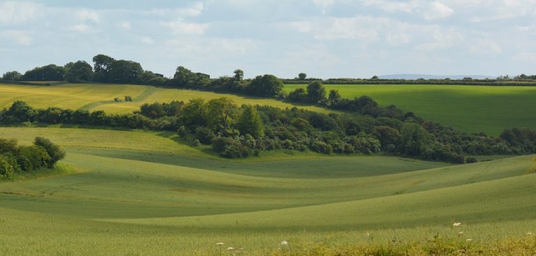 Global Talent Visa in Berkshire
