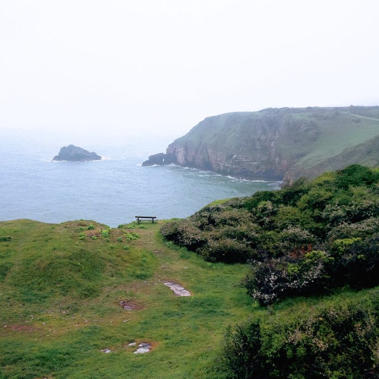 Global Talent Visa in Devon